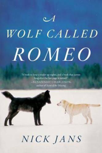 Wolf called romeo - a,